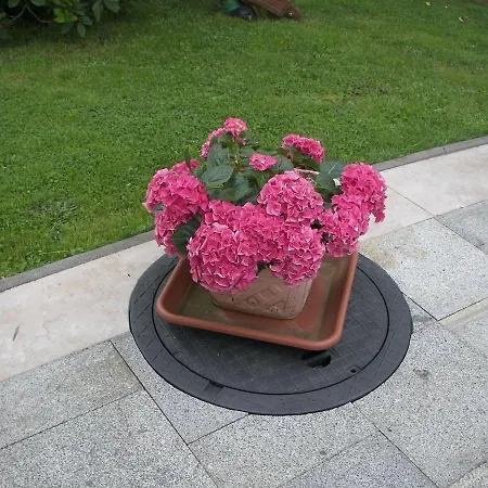 With Garden In Sebnitz * Lichtenhain