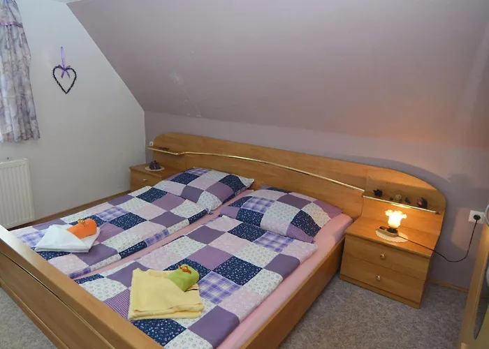 Gruppenausflug Nach Sebnitz 公寓 利希滕海恩