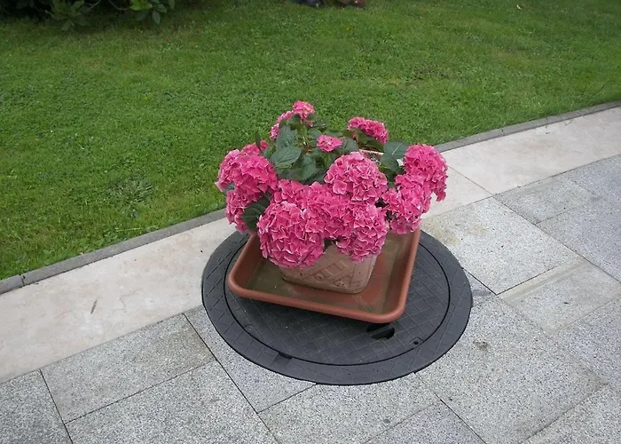 Gruppenausflug Nach Sebnitz * Lichtenhain (Sebnitz)