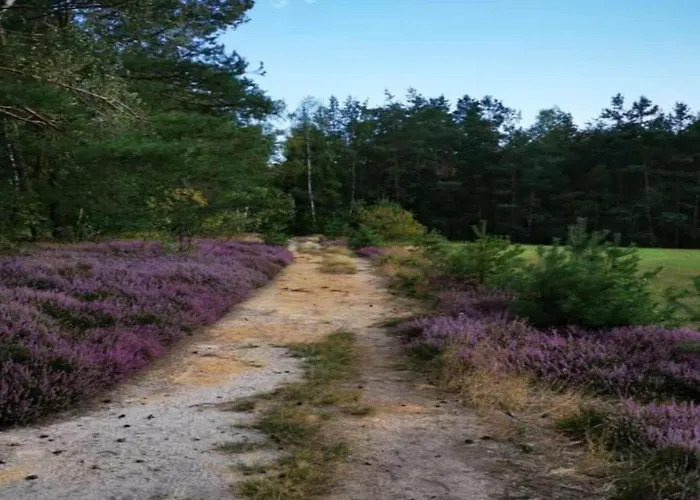 Gruppenausflug Nach Sebnitz